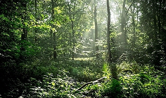 Südheide  Quelle_Screenshot