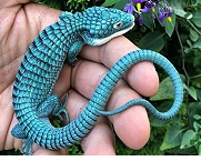 Dragoncito Azul, Source: Verne el Pais