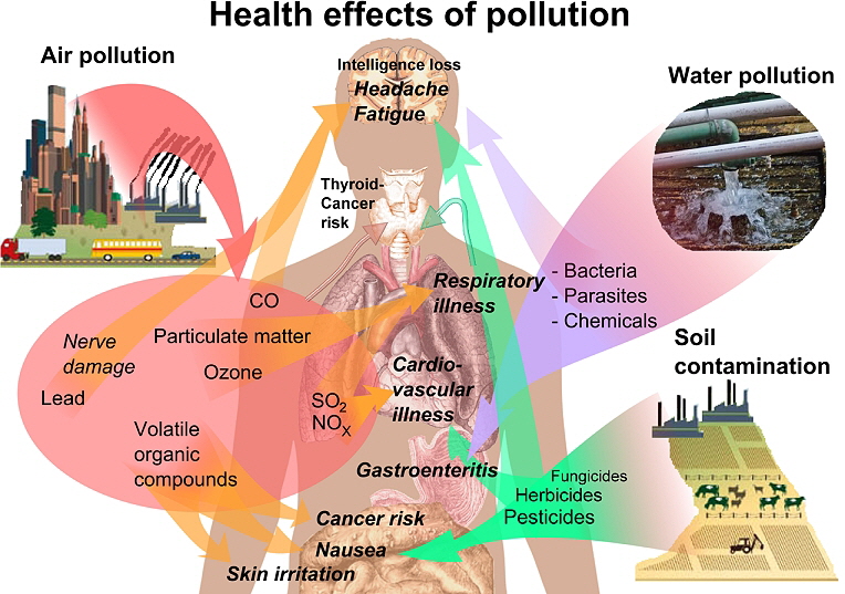 Health effects